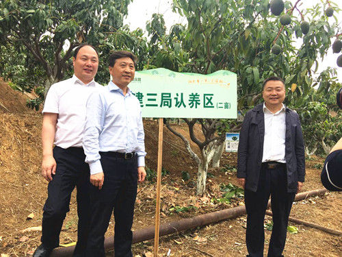 攀枝花启动公益认养芒果树精准扶贫活动-中国