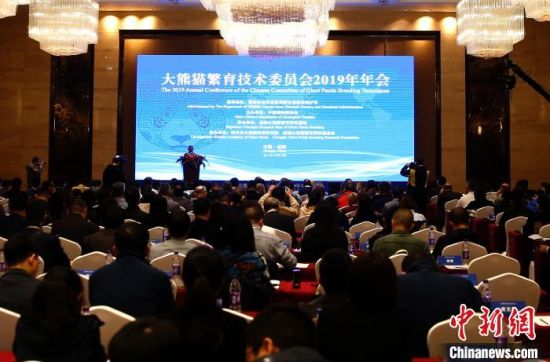 大熊猫繁育技术委员会2019年年会在成都召开