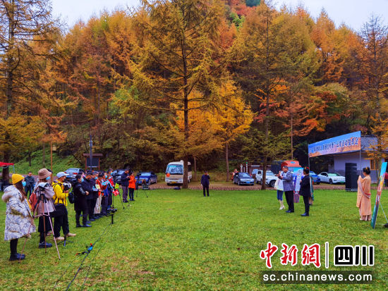 “多彩曾家山浪漫红叶季”云赏活动发布会现场。