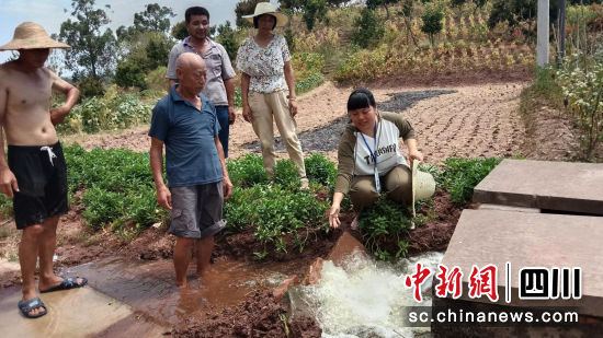 石玉梅在抗旱一线。泸县县委统战部供图