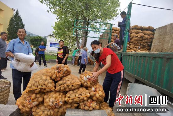 宣汉县天生镇新芽村免费发放秋洋芋种子。宣汉县委宣传部供图